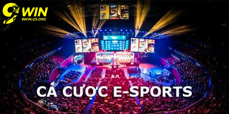 Sportsbook 9Win - Đỉnh cao cá cược và xu hướng giải trí 2025